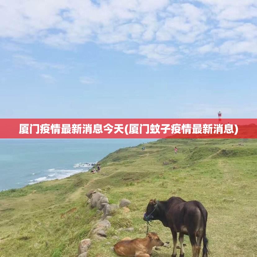 厦门疫情最新消息今天(厦门蚊子疫情最新消息) 厦门疫情最新消息今天(厦门蚊子疫情最新消息)