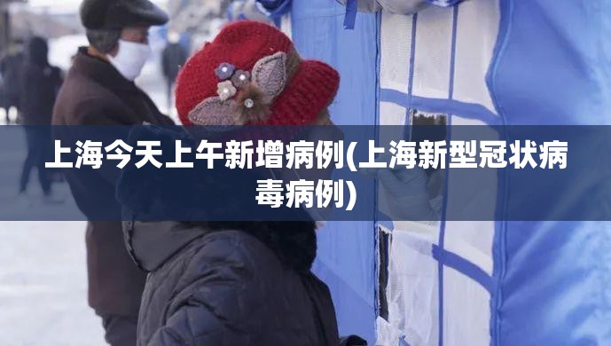 上海今天上午新增病例(上海新型冠状病毒病例) 上海今天上午新增病例(上海新型冠状病毒病例)