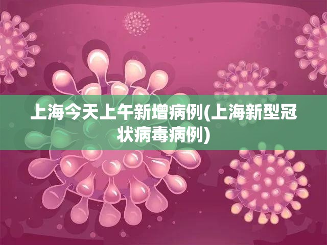上海今天上午新增病例(上海新型冠状病毒病例) 上海今天上午新增病例(上海新型冠状病毒病例)