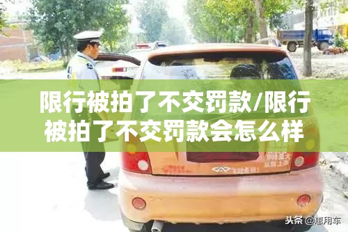 限行被拍了不交罚款/限行被拍了不交罚款会怎么样