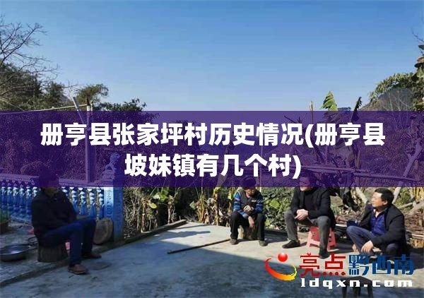 册亨县张家坪村历史情况(册亨县坡妹镇有几个村) 册亨县张家坪村历史情况(册亨县坡妹镇有几个村)