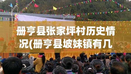 册亨县张家坪村历史情况(册亨县坡妹镇有几个村) 册亨县张家坪村历史情况(册亨县坡妹镇有几个村)