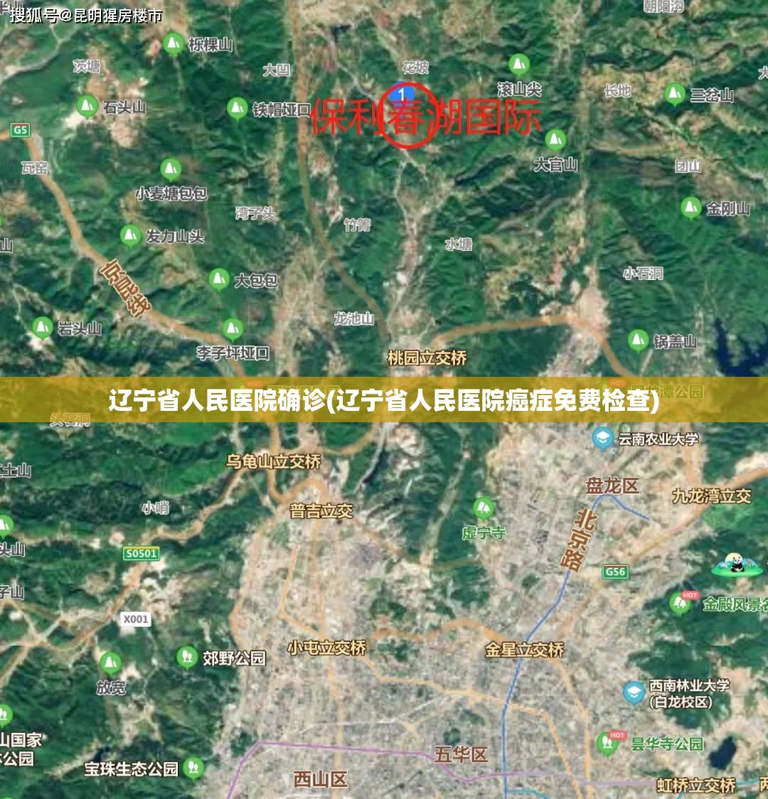 辽宁省人民医院确诊(辽宁省人民医院癌症免费检查) 辽宁省人民医院确诊(辽宁省人民医院癌症免费检查)