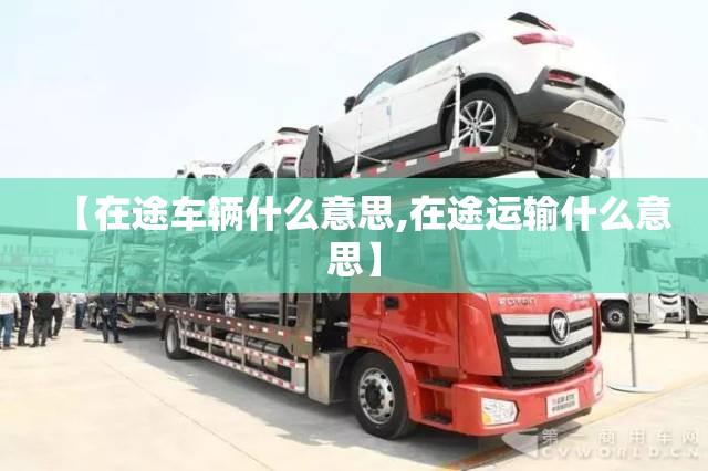 【在途车辆什么意思,在途运输什么意思】