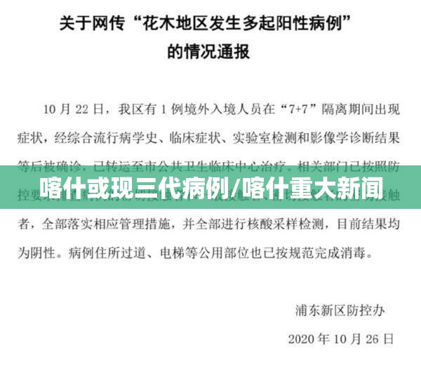 喀什或现三代病例/喀什重大新闻 喀什或现三代病例/喀什重大新闻