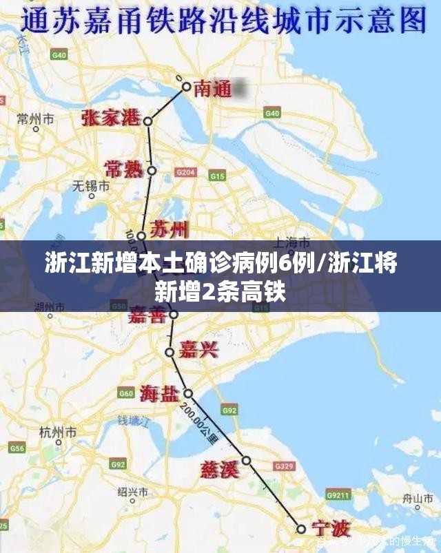 浙江新增本土确诊病例6例/浙江将新增2条高铁