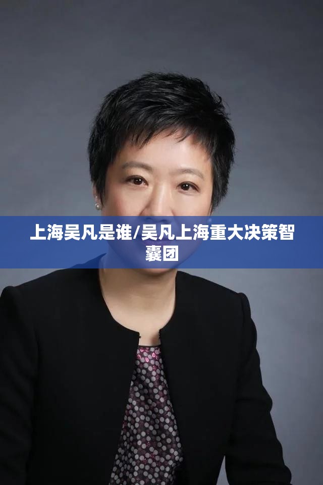 上海吴凡是谁/吴凡上海重大决策智囊团 上海吴凡是谁/吴凡上海重大决策智囊团