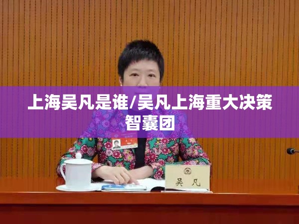 上海吴凡是谁/吴凡上海重大决策智囊团 上海吴凡是谁/吴凡上海重大决策智囊团