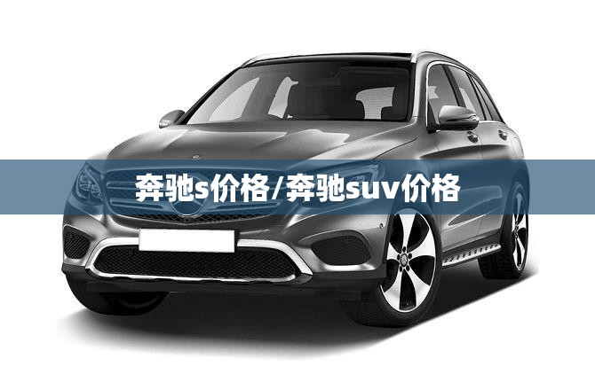 奔驰s价格/奔驰suv价格