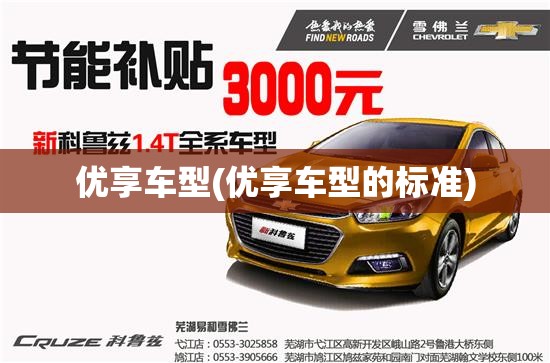 优享车型(优享车型的标准)
