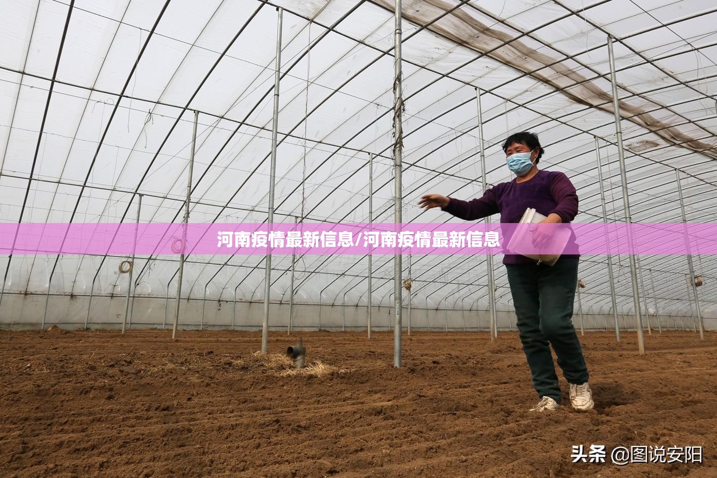 河南疫情最新信息/河南疫情最新信息