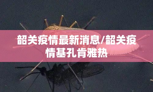 韶关疫情最新消息/韶关疫情基孔肯雅热