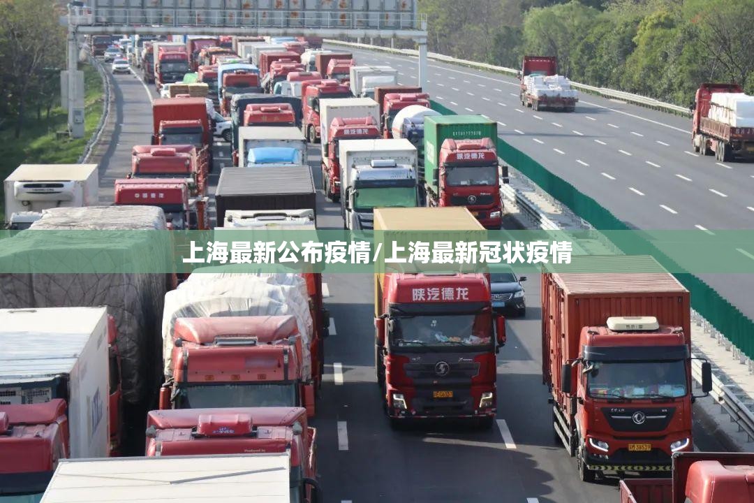 上海最新公布疫情/上海最新冠状疫情 上海最新公布疫情/上海最新冠状疫情