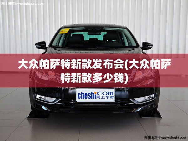 大众帕萨特新款发布会(大众帕萨特新款多少钱) 大众帕萨特新款发布会(大众帕萨特新款多少钱)