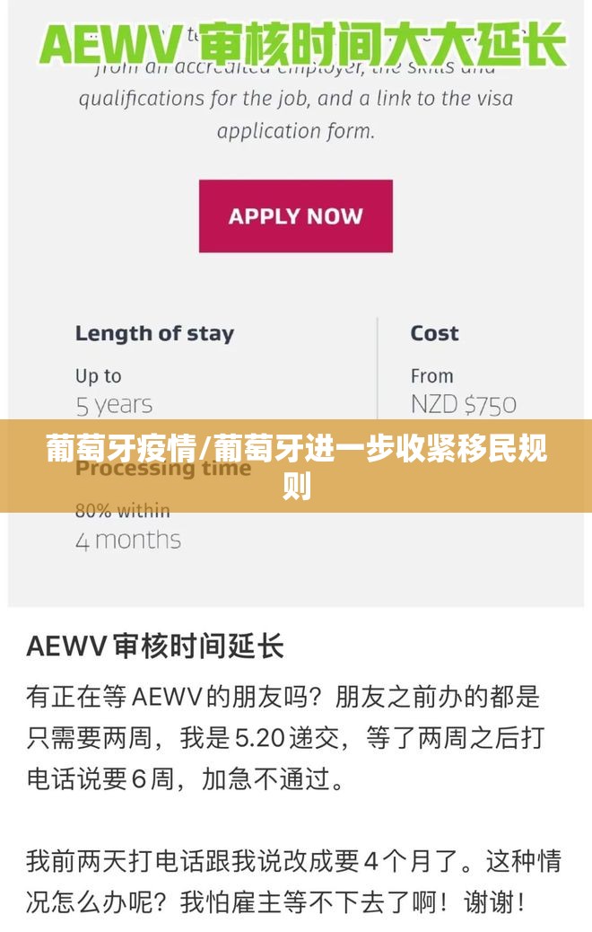 葡萄牙疫情/葡萄牙进一步收紧移民规则