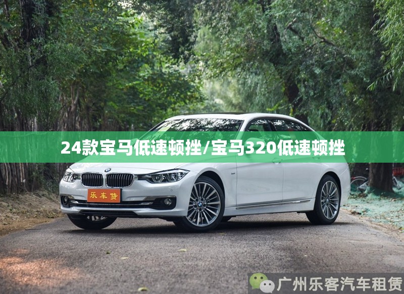 24款宝马低速顿挫/宝马320低速顿挫