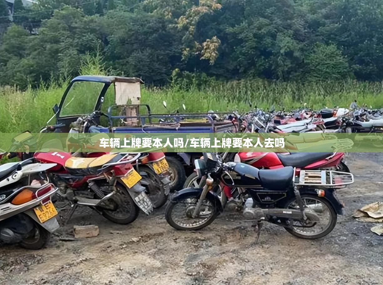 车辆上牌要本人吗/车辆上牌要本人去吗 车辆上牌要本人吗/车辆上牌要本人去吗