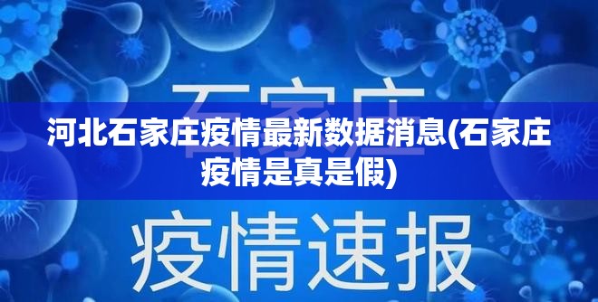 河北石家庄疫情最新数据消息(石家庄疫情是真是假)