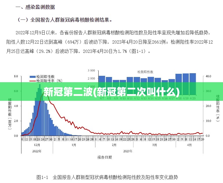 新冠第二波(新冠第二次叫什么)