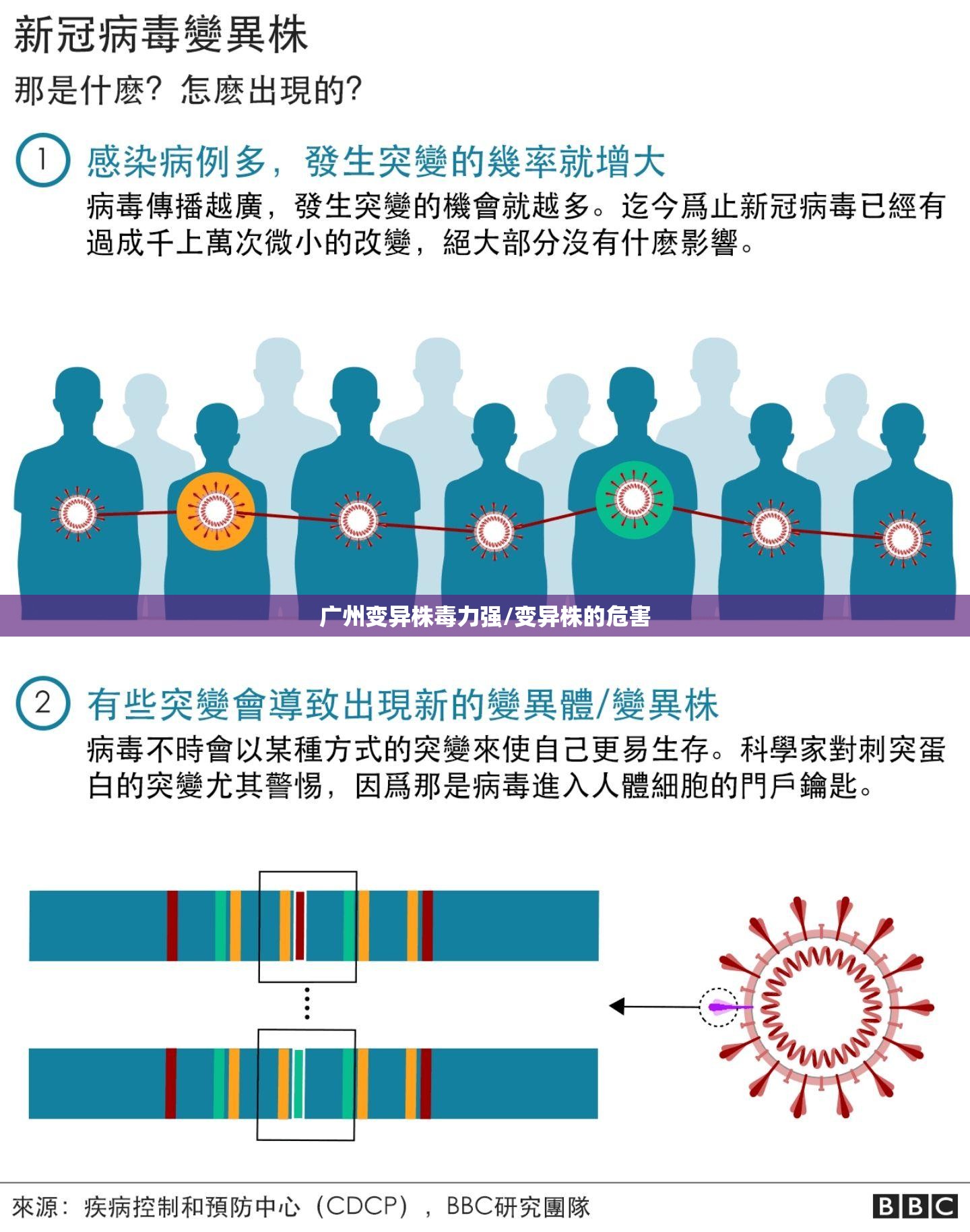 广州变异株毒力强/变异株的危害