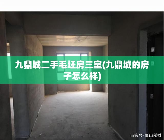 九鼎城二手毛坯房三室(九鼎城的房子怎么样) 九鼎城二手毛坯房三室(九鼎城的房子怎么样)