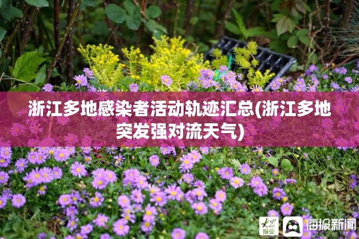 浙江多地感染者活动轨迹汇总(浙江多地突发强对流天气) 浙江多地感染者活动轨迹汇总(浙江多地突发强对流天气)
