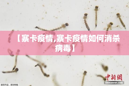 【寨卡疫情,寨卡疫情如何消杀病毒】