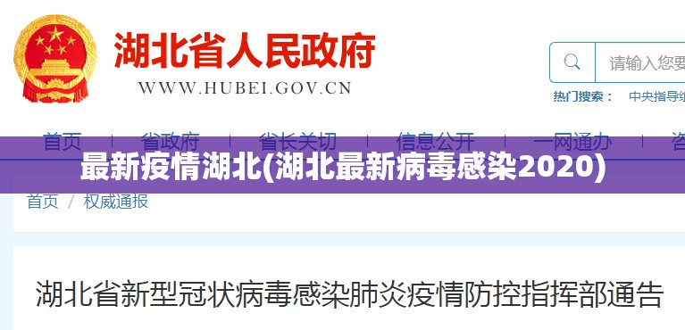 最新疫情湖北(湖北最新病毒感染2020) 最新疫情湖北(湖北最新病毒感染2020)