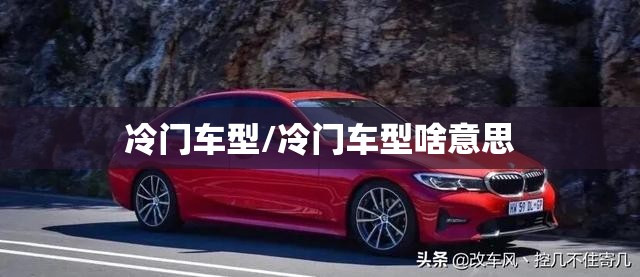 冷门车型/冷门车型啥意思
