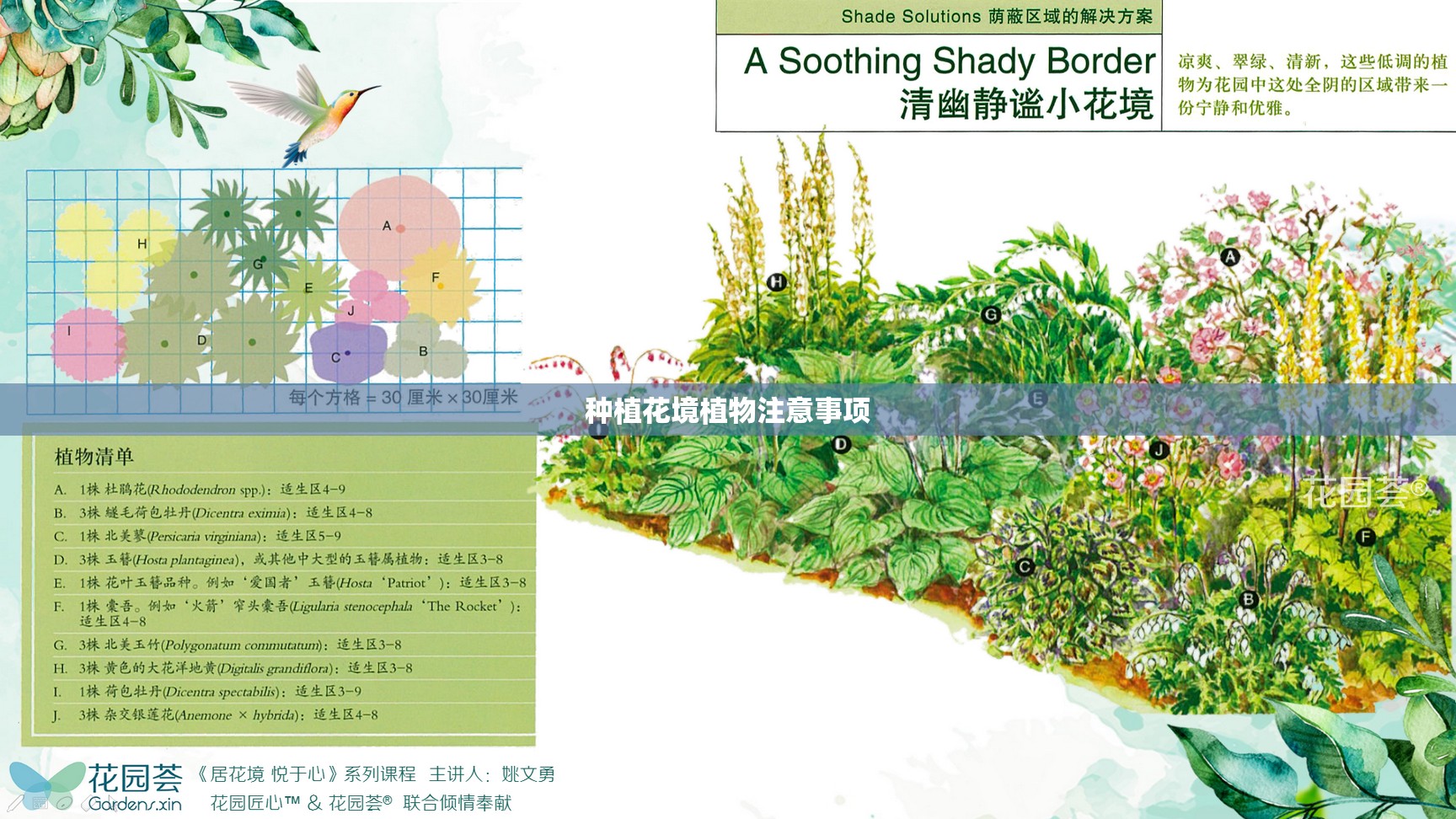 种植花境植物注意事项 种植花境植物注意事项