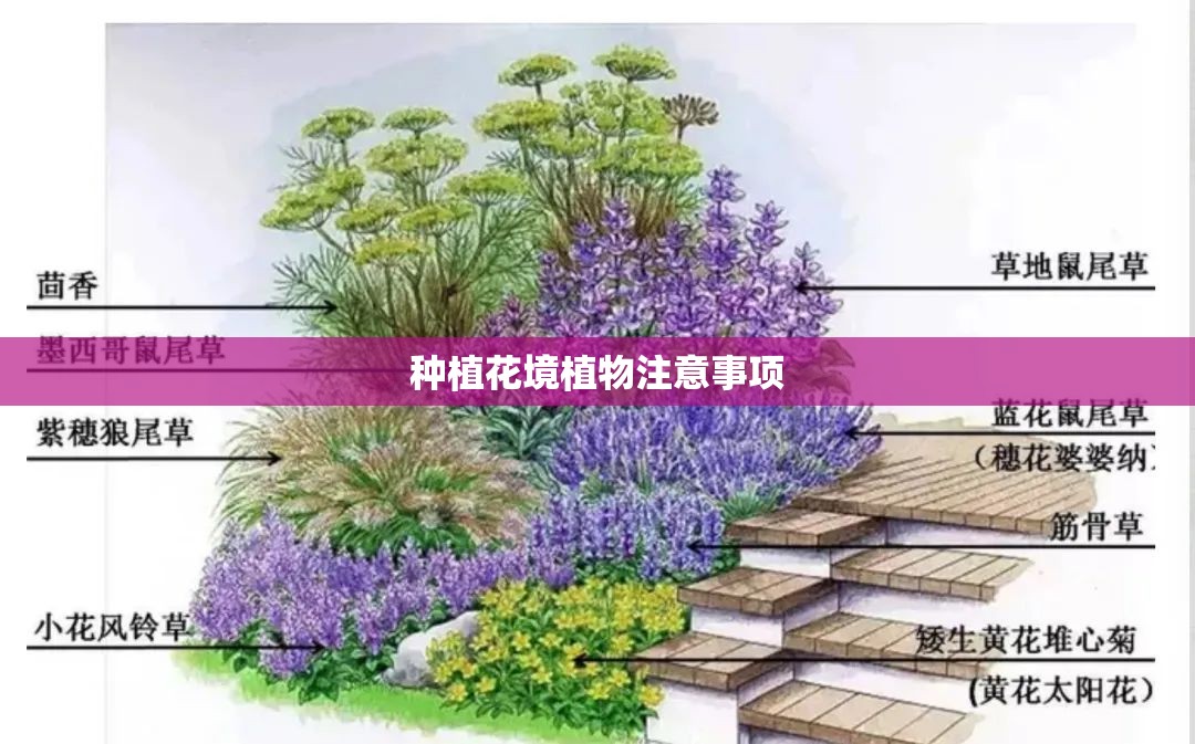 种植花境植物注意事项