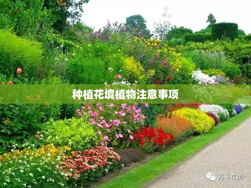种植花境植物注意事项 种植花境植物注意事项