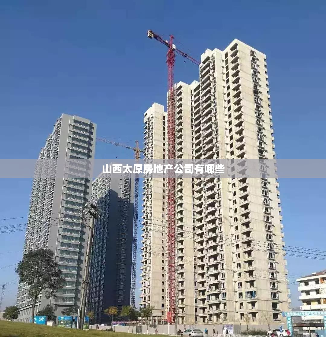 山西太原房地产公司有哪些