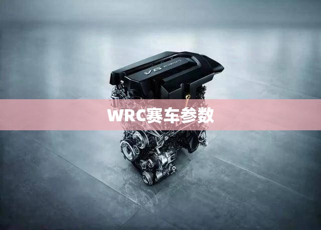 WRC赛车参数