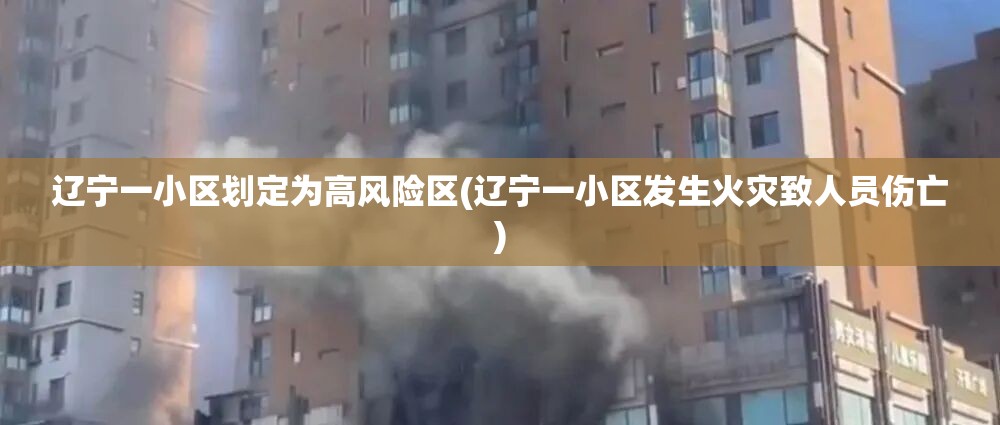辽宁一小区划定为高风险区(辽宁一小区发生火灾致人员伤亡)