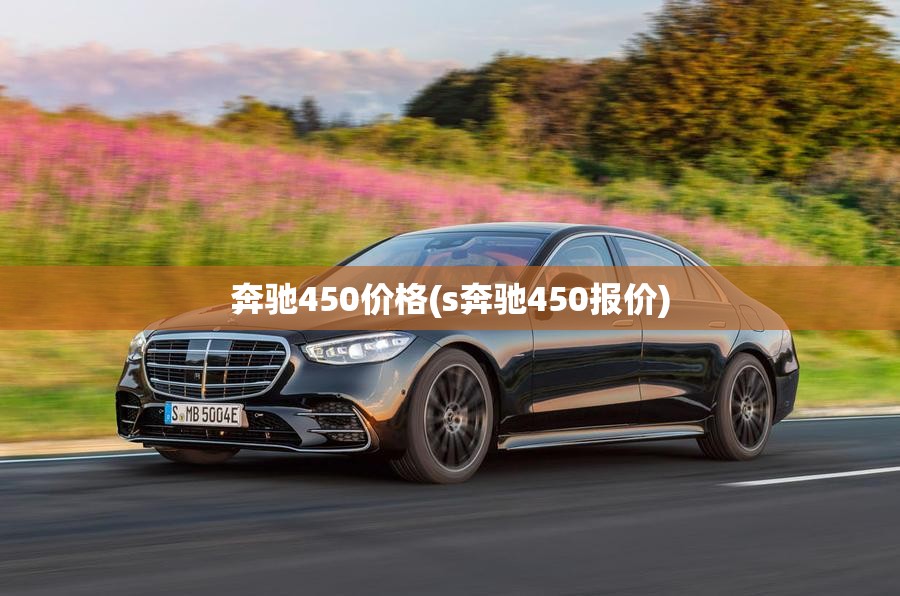 奔驰450价格(s奔驰450报价)