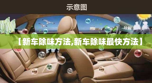 【新车除味方法,新车除味最快方法】 【新车除味方法,新车除味最快方法】