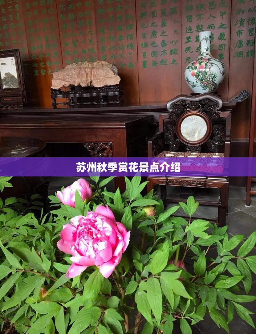 苏州秋季赏花景点介绍