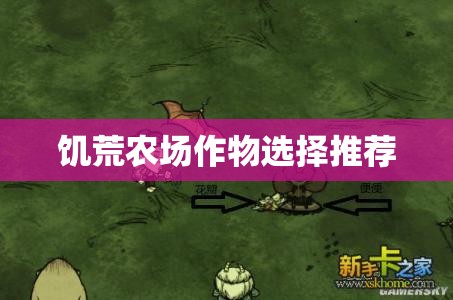饥荒农场作物选择推荐