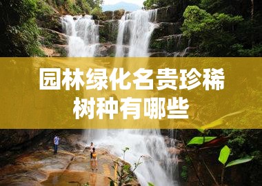 园林绿化名贵珍稀树种有哪些