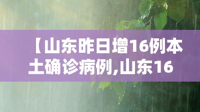 【山东昨日增16例本土确诊病例,山东16日将迎暴雨吗现在】