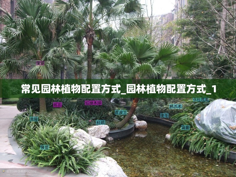 常见园林植物配置方式_园林植物配置方式_1