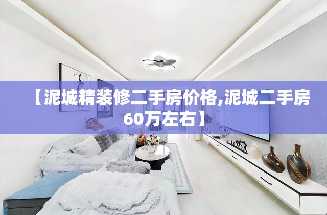 【泥城精装修二手房价格,泥城二手房60万左右】