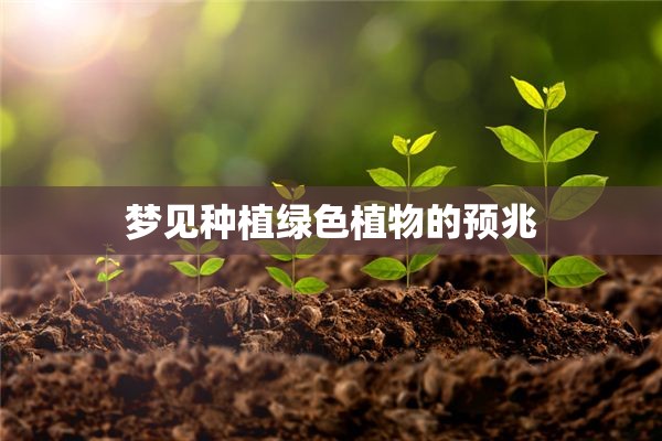 梦见种植绿色植物的预兆