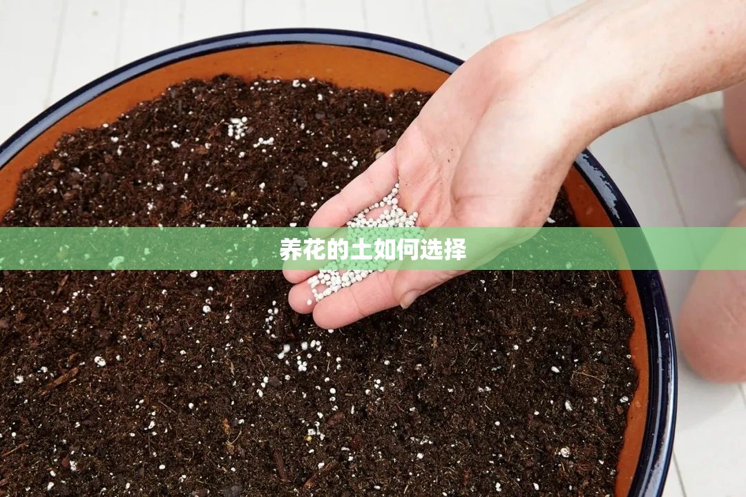 养花的土如何选择 养花的土如何选择