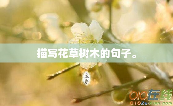 描写花草树木的句子。
