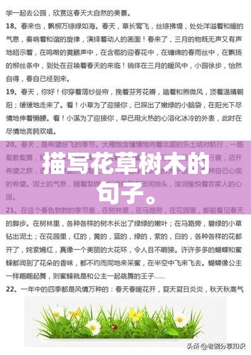 描写花草树木的句子。