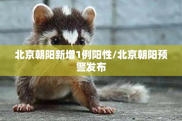 北京朝阳新增1例阳性/北京朝阳预警发布