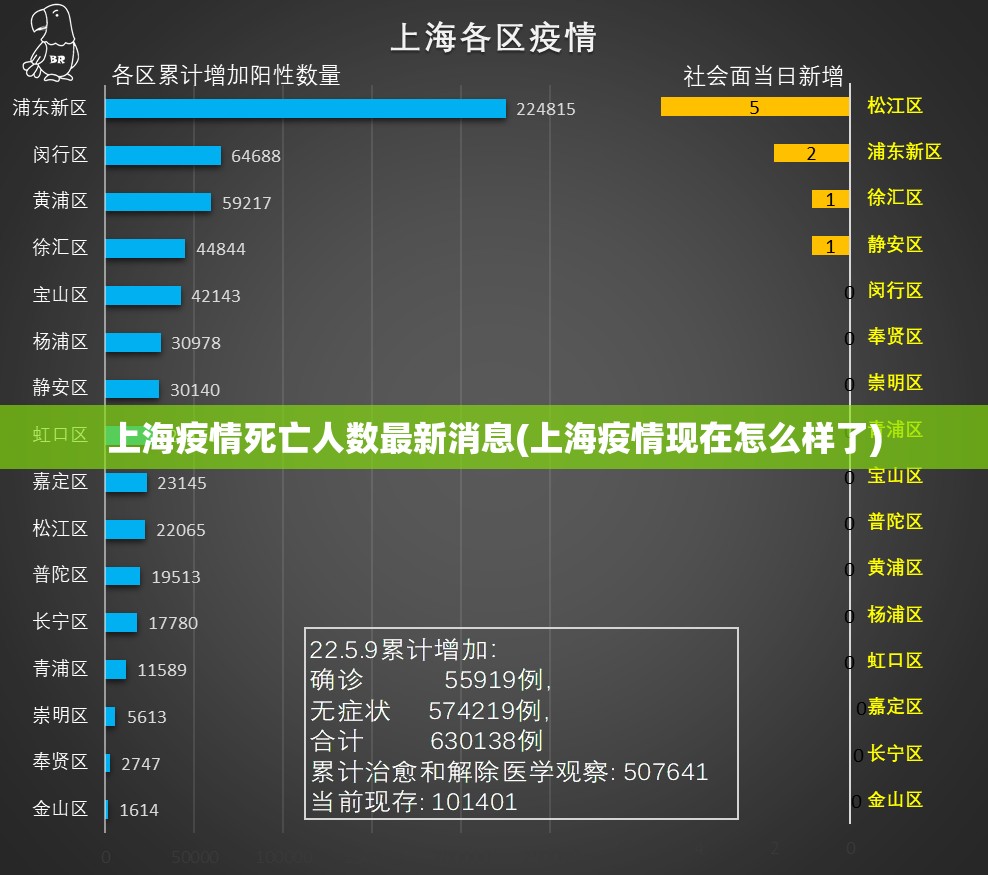 上海疫情死亡人数最新消息(上海疫情现在怎么样了)
