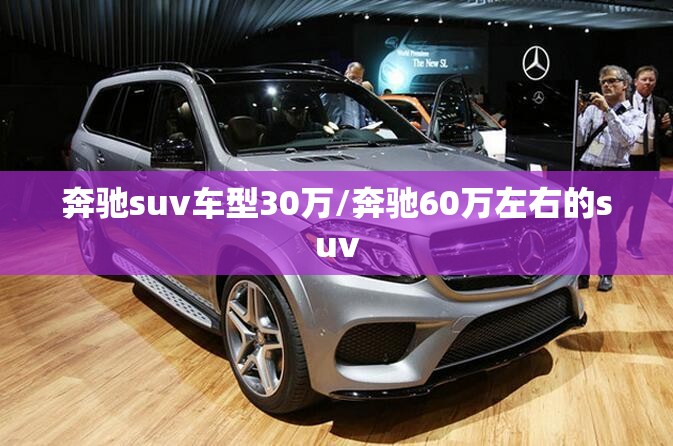 奔驰suv车型30万/奔驰60万左右的suv